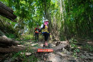 BIB: 
                            <button type="button" onclick="openModal(19393436)" class="btn btn-primary btn-sm float-right btn-popup" data-toggle="modal" data-target=".modal-high-quality">
                        <i class="fas fa-shopping-cart"></i> Add to Cart
                    </button>
                                            <button type="button" onclick="isThisMe(19393436, true)" class="btn btn-success btn-sm float-right btn-popup btn-isme hidden" data-toggle="tooltip" data-placement="bottom" title="นี่คือรูปของคุณใช่ไหม คลิกที่นี่เพื่อเอาเข้าอัลบั้ม">
                        <i class="fas fa-plus"></i> Add to album
                    </button>
                    <button type="button" onclick="isThisMe(19393436, false)" class="btn btn-warning btn-sm float-right btn-popup btn-isnotme hidden">
                        <i class="fas fa-ban"></i> Remove from album
                    </button>